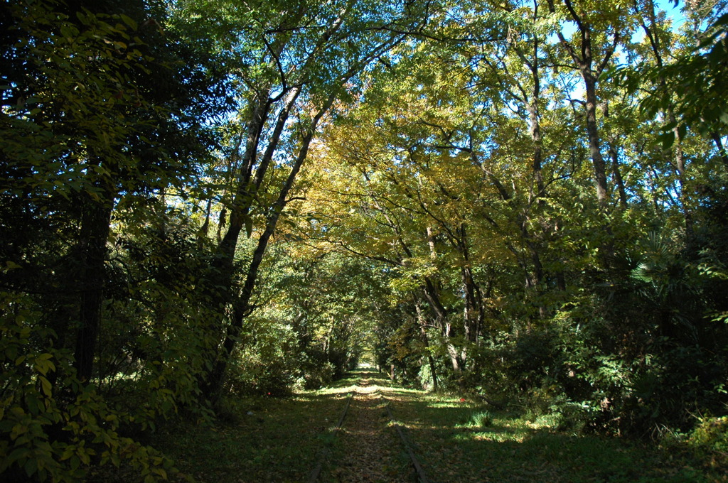 DSC_00821 (54)