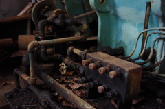 IMGP6641