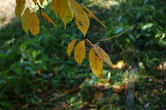 DSC_01507 (54)