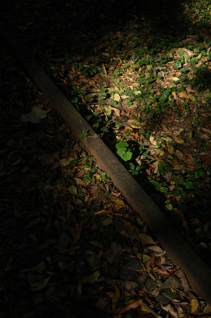 DSC_01507 (36)