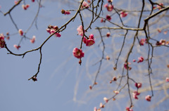 不明