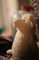 もこもこ