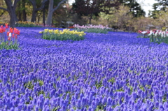 百合が原公園にて