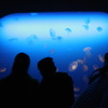 海の物語