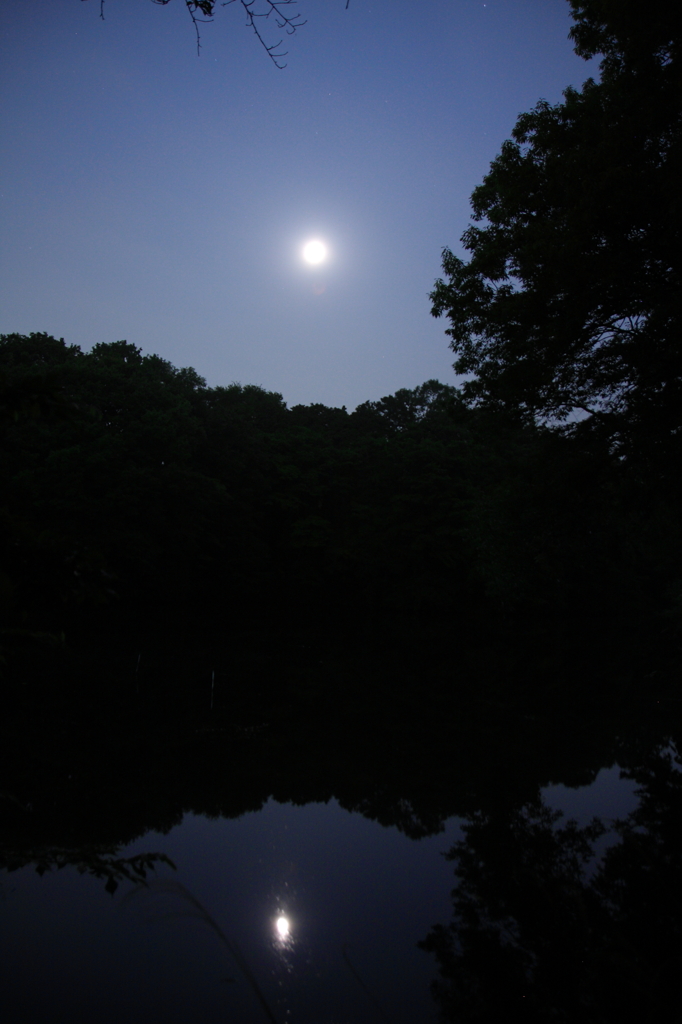 夜の震生湖