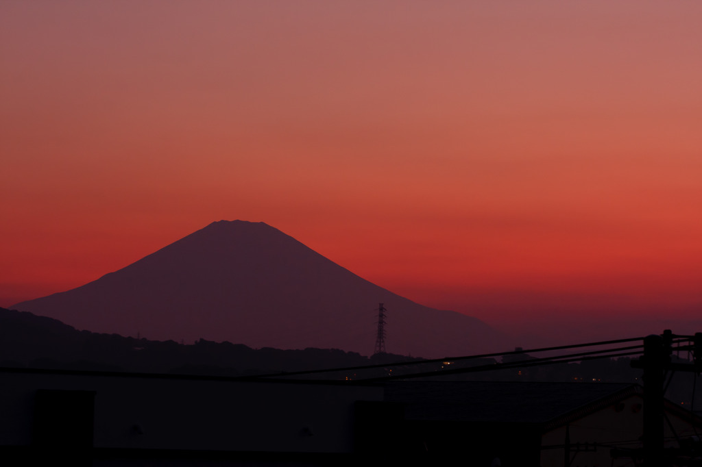 紅