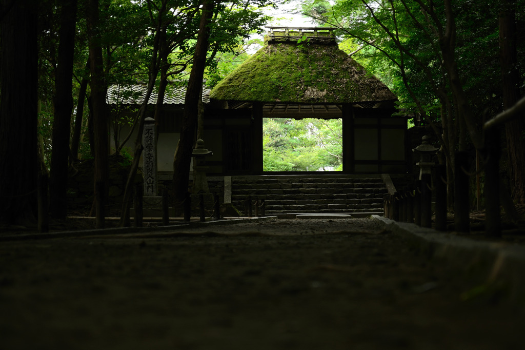 Border Gate