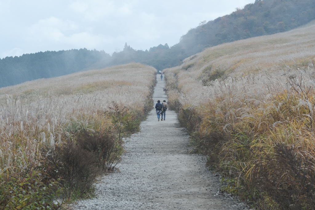sound of Autumn #01
