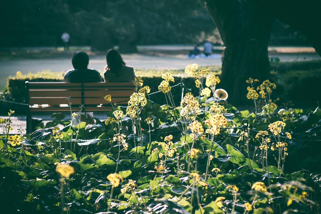 an autumn day #07