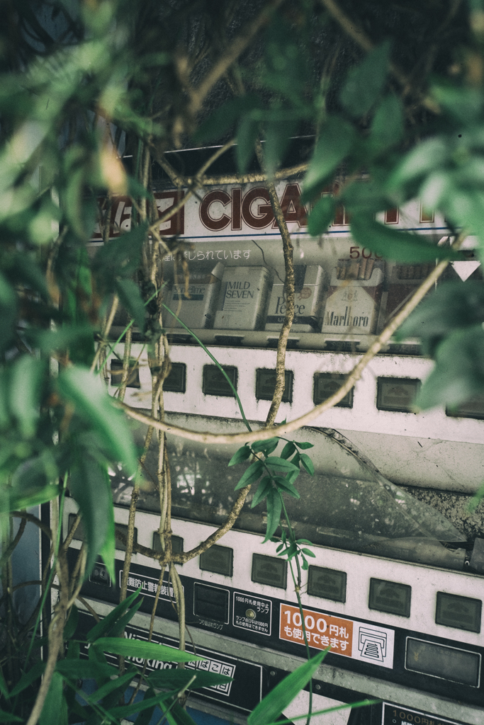 cigarette
