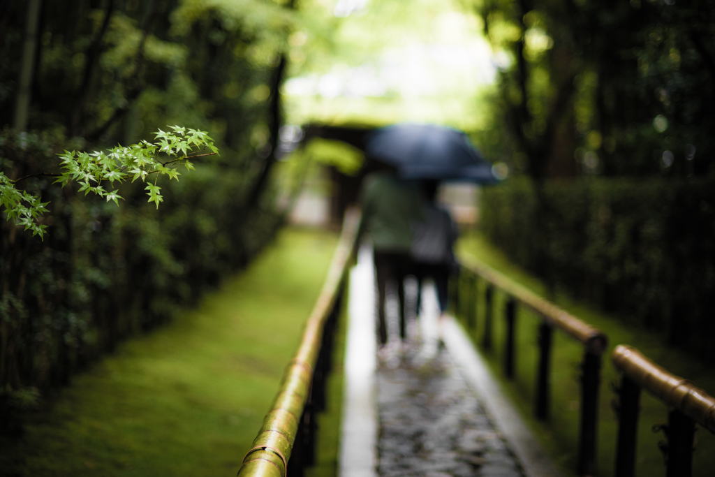 Singin' in the Rain 