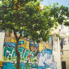 orange tree & wall art