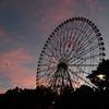 Sunset Wheel