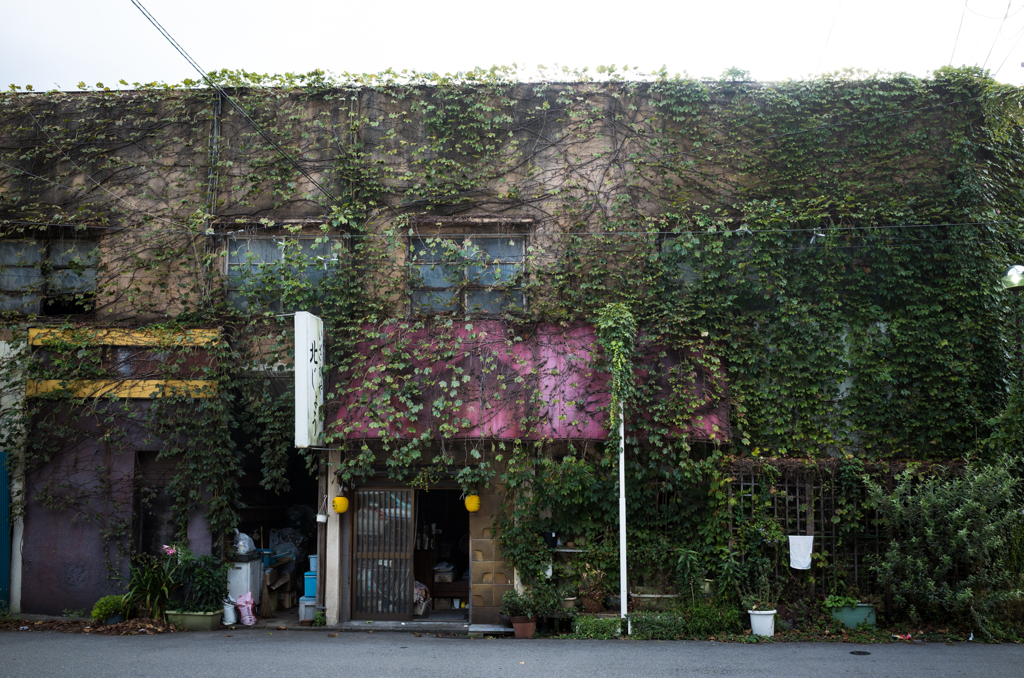 Utsunomiya #01