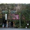 Utsunomiya #01