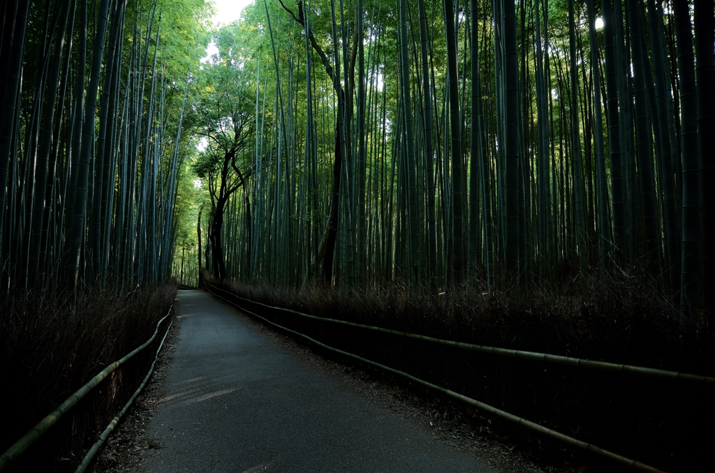 Authentic pathway