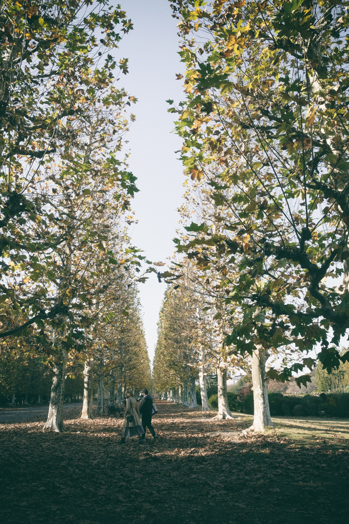 an autumn day #01