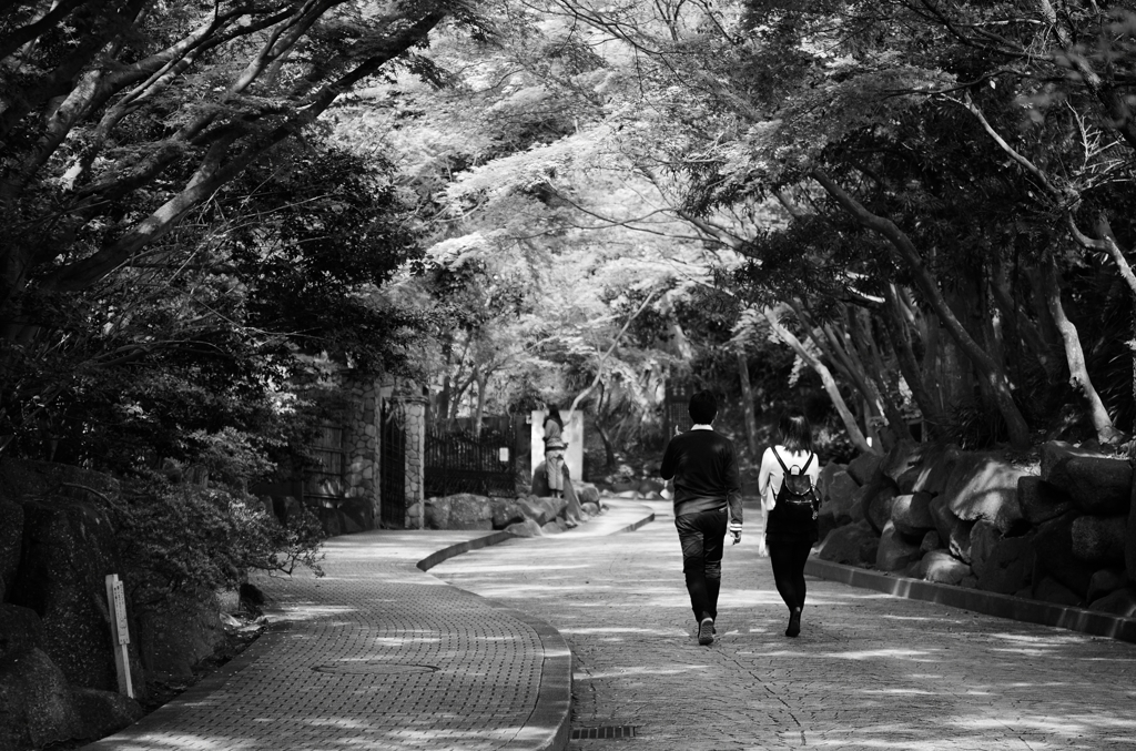 鎌倉散歩 #03
