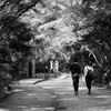 鎌倉散歩 #03