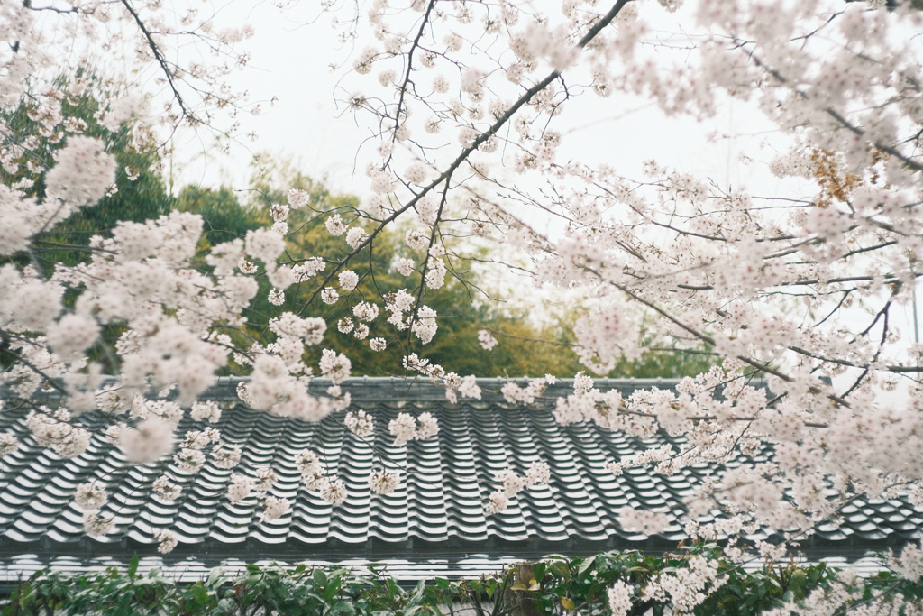 rainy