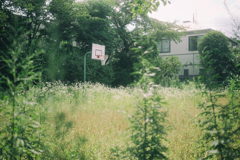 Basketball Court