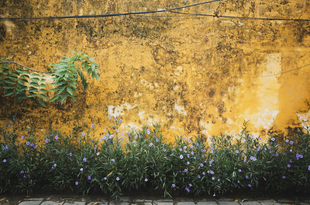 Yellow Walls #01
