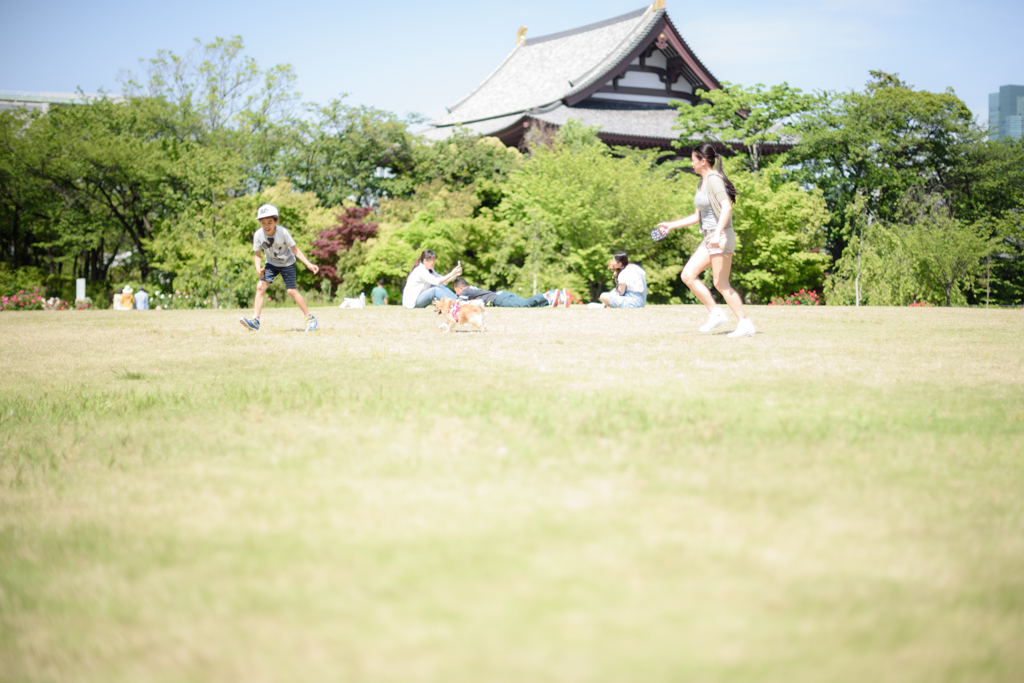 Holiday