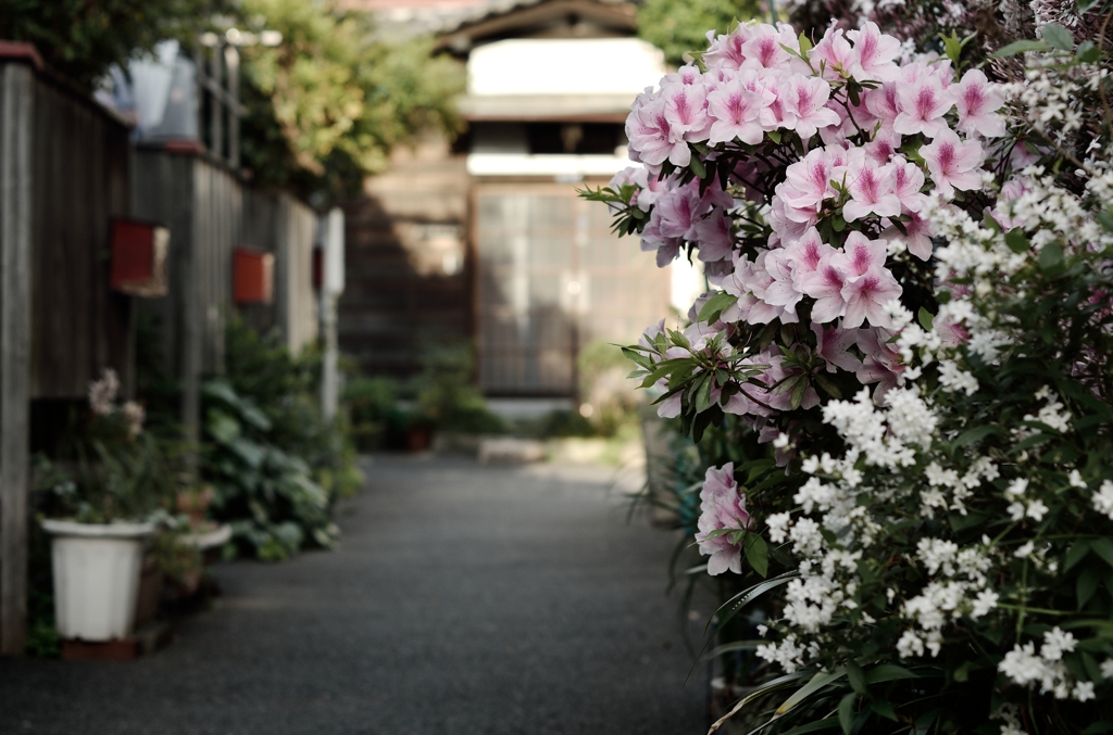 下町路地裏物語