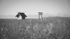 Wind