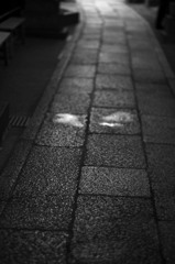 明へと続く石畳