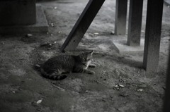 ゆったり時間