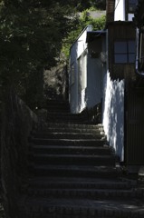 ざわめく影