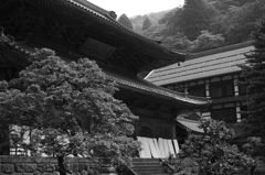 壮大な建築物群