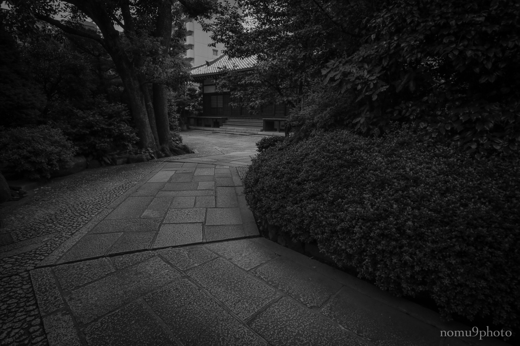 STONE CARPET
