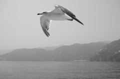 島を背に