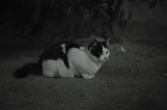 見据える先