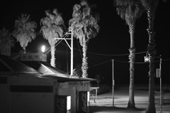 海辺の夜