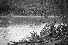 LAKE SIDE