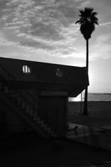 夕暮れに浮かぶ影