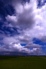 夏の田園と空