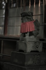 何処を見る