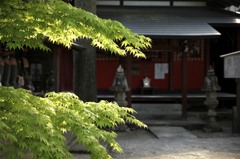 新緑の寺院