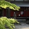 新緑の寺院