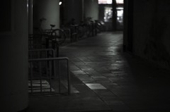 光の表情