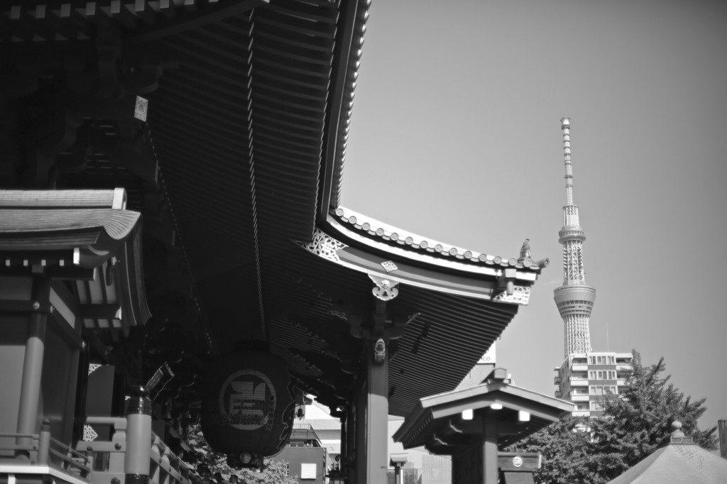 新旧一体