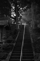 朝もやに差す光線