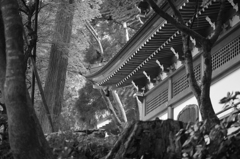 荘厳
