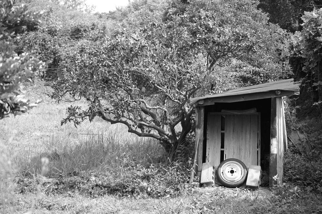 農機具小屋
