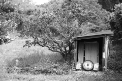 農機具小屋
