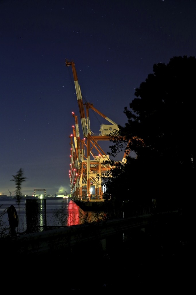 埠頭夜景
